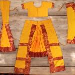 Traditional Bharat Natyam Dance Dress – Authentic Attire for Classical Indian Dance Performances