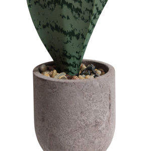 Artificial Snake Plant – Stylish, Evergreen Home & Office Décor
