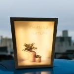 Wooden Double-Sided Photo Frame with 3-Mode Touch LED Light – A Perfect Blend of Elegance & Innovation